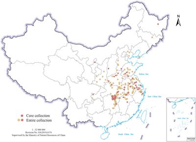 Salt tolerance evaluation and mini-core collection development in Miscanthus sacchariflorus and M. lutarioriparius
